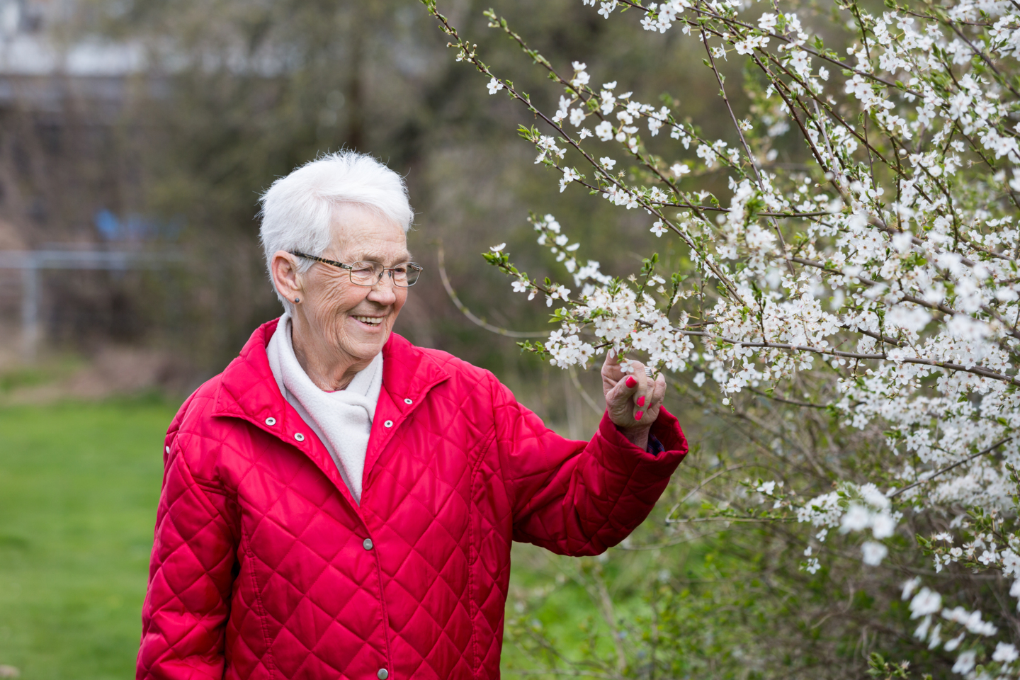 Udbetaling af pension i 2026